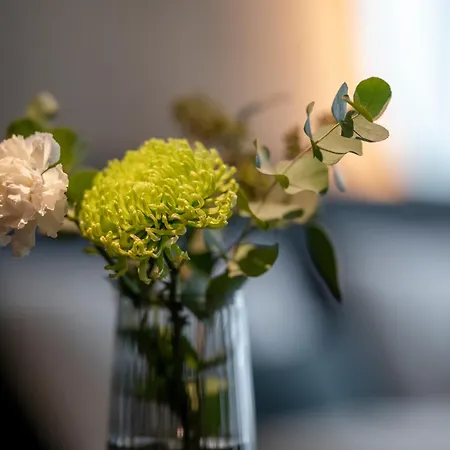 酒店 Wittmanns 德尔奥博的新市场